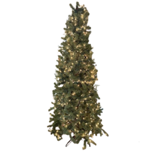 7.5 Foot Douglas Green Fir Christmas Tree