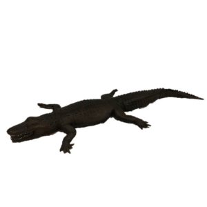 Life like alligator prop for party and theme prop renatls