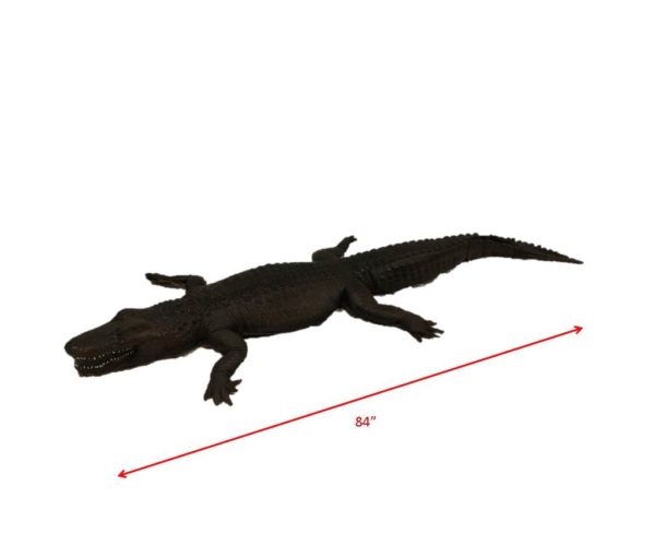 ife like alligator or crocodile props for party rentals with dimensions