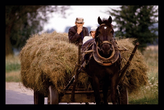 Photo of a banner of a horse pulling a old hay wagon