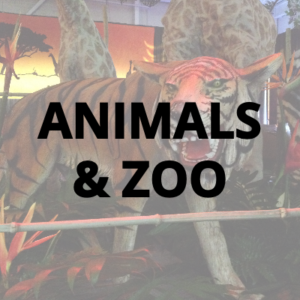 ANIMALS AND ZOO