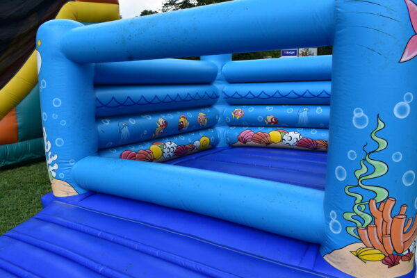 Aqua Toddler Bouncer Inflatable