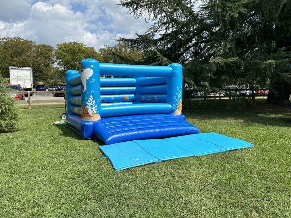 Aqua Toddler Bouncer Inflatable
