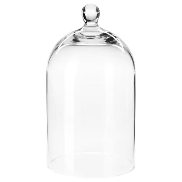 Bell Jar Display Dome Glass Cloche with knob 7 inch