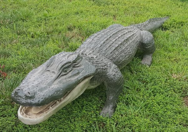 Alligator or Crocodile Life Size Statue Prop for Party Rental or Corporate Theme Events Hire