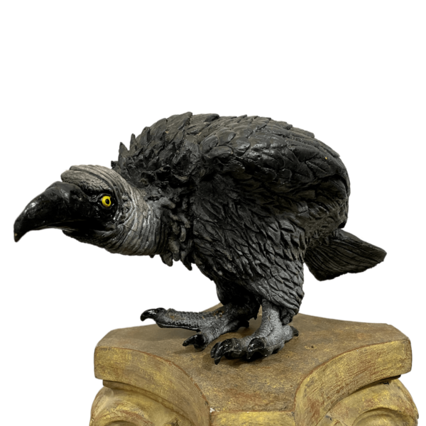 Black Vulture Miniature