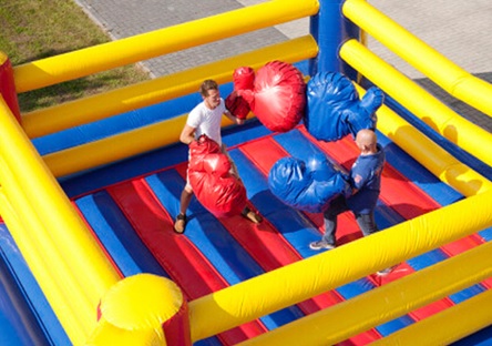 Photo of Inflatable Boxing Gloves