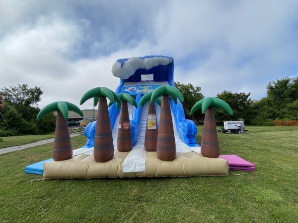 Catch A Wave Interactive Inflatable