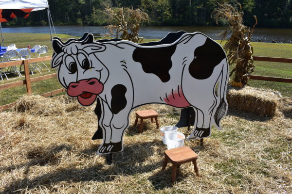 Cow Milking Game Carnival Game for farm carnival party rentals or corporate events