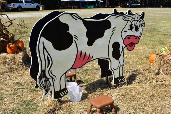 Cow Milking Game Carnival Game for farm carnival party rentals or corporate events