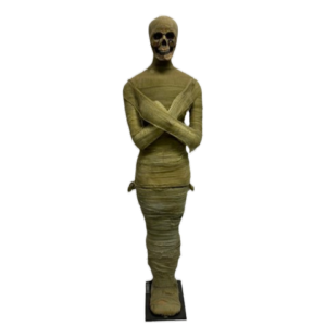 Egyptian Mummy Life Size Statue Prop Rental Magic Special Events Richmond Virginia