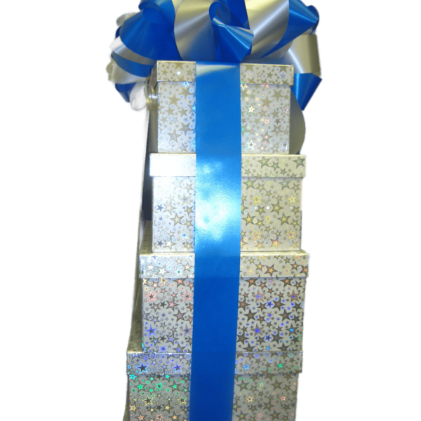 Gift Package Presents Silver Christmas