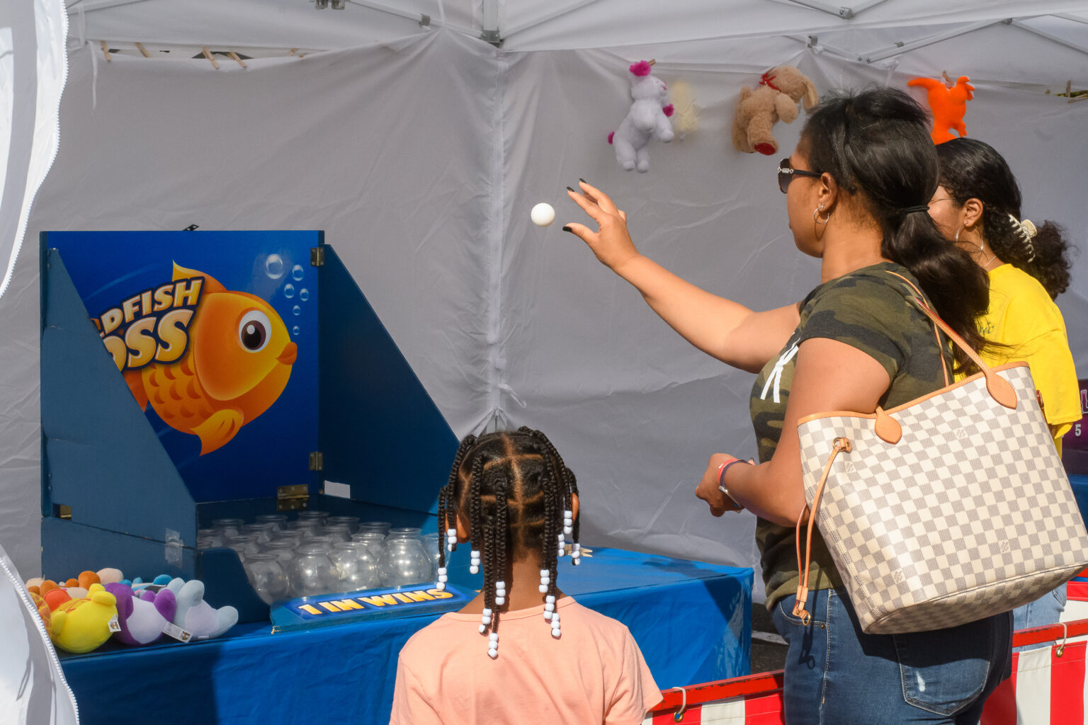 GOLDFISH BOWL TOSS CARNIVAL GAME