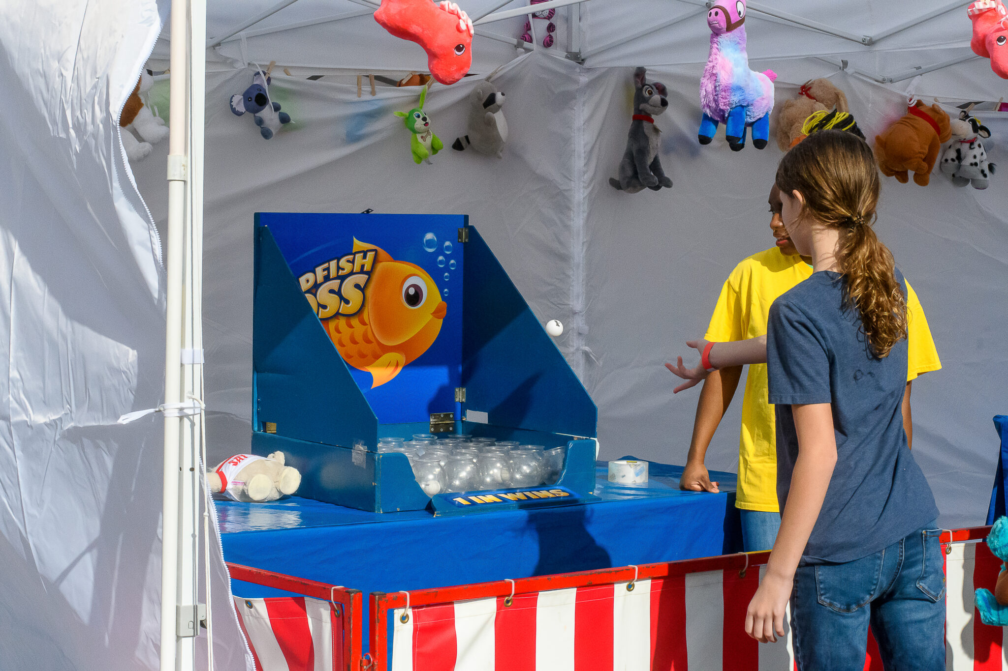GOLDFISH BOWL TOSS CARNIVAL GAME