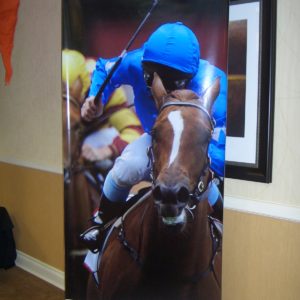 Horse Race Jockey Banner
