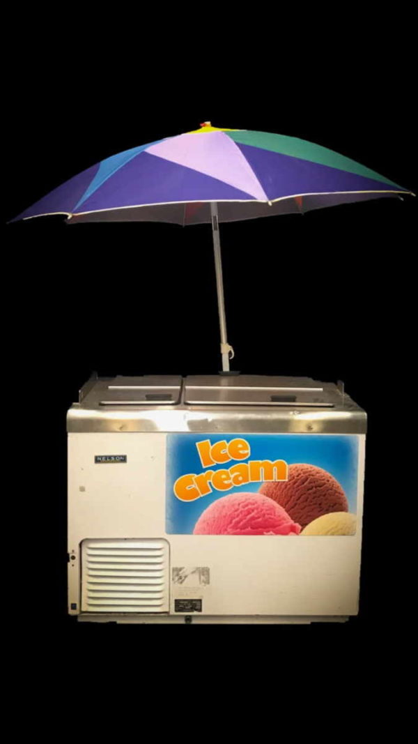 Ice Cream Electric Freezer