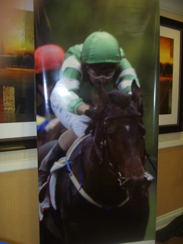 Horse Race Jockey Banner