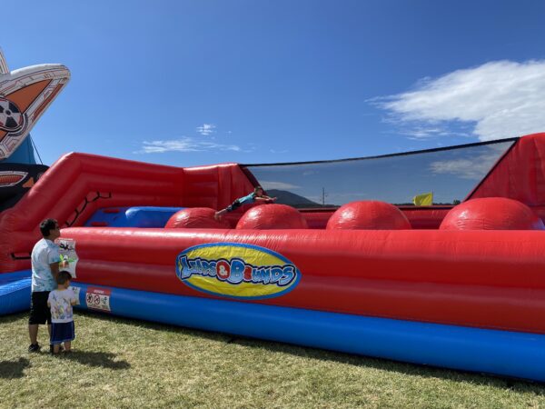 Leaps and Bounds Inflatable Game Magic Special Events
