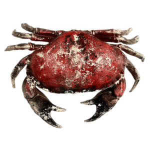 Maryland Red Crab Ocean Sea Prop