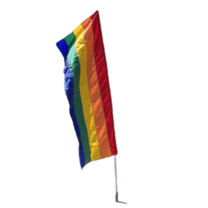 Rainbow Pride Gay Vertical Striped Festival Flag