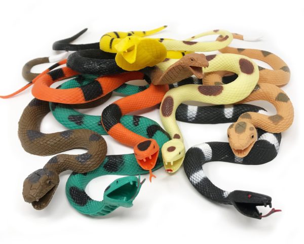 Rubber Rattle Snakes