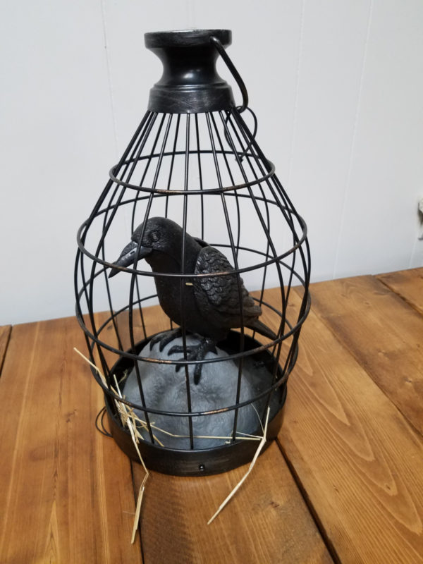 Raven in Cage - talking
