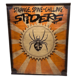 Strange Spine Chilling Spiders Banner Poster