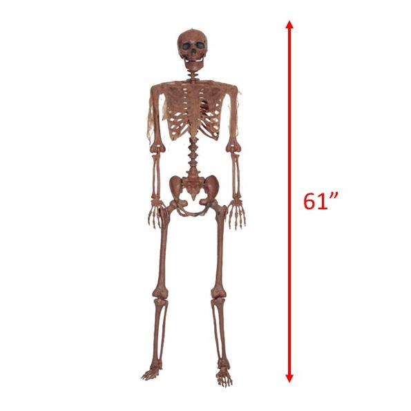 SKELETON LIFE-SIZE POSEABLE DECAYING BROWN COLOR | Magic Special Events ...