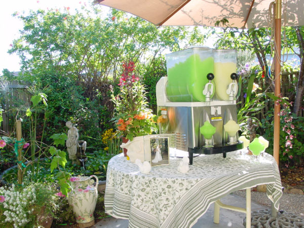 Slush Machine Single Small Double Margarita or Granita Frozen Drink Machine in Wedding Set Up