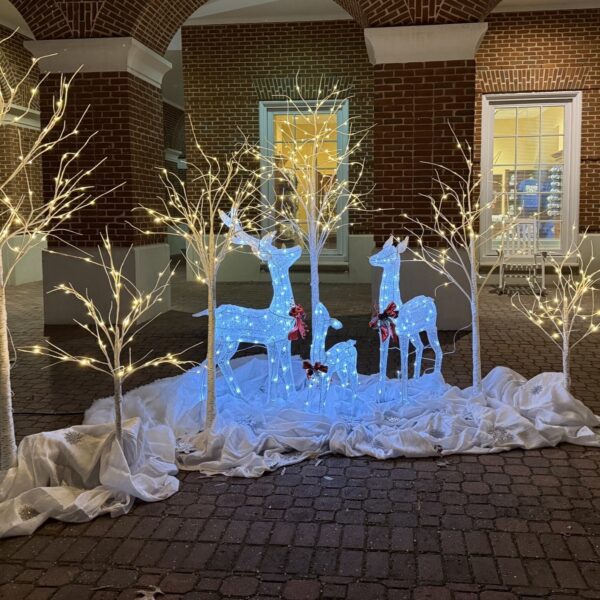 THREE PIECE WHITE REINDEER FAMILY WITH LED LIGHTS RICHMOND VIRGINIA MAGIC SPECIAL EVENTS