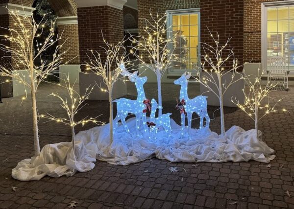 THREE PIECE WHITE REINDEER FAMILY WITH LED LIGHTS RICHMOND VIRGINIA MAGIC SPECIAL EVENTS