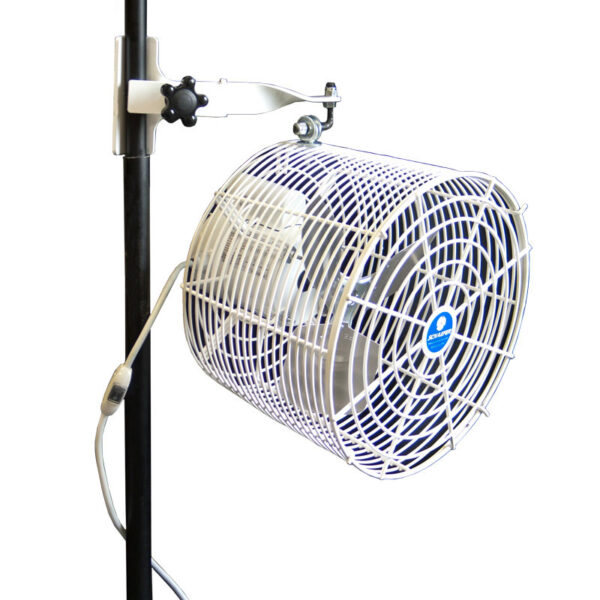 White Tent fan for circulation