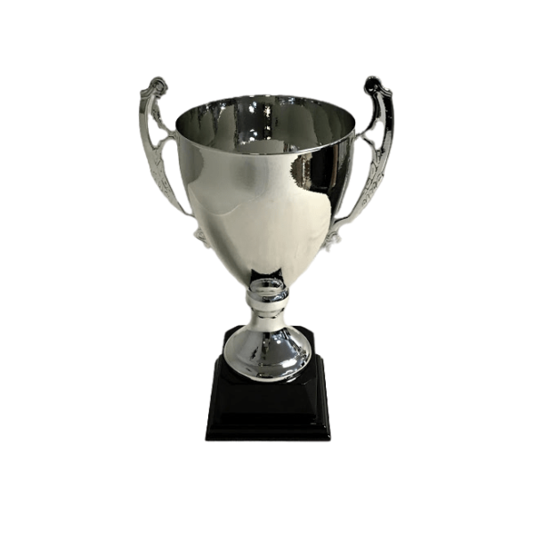 Trophy Champion Silver Cup With Wood Base