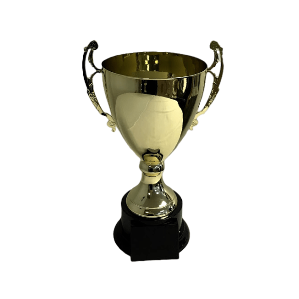 Trophy Gold Champion Cup With Black Base