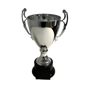 Trophy Silver Champion Cup With Black Base