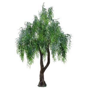 Weeping Willow Tree 10 Feet