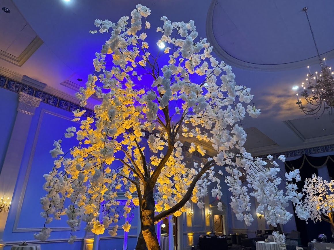 Willow Tree Decor Jungle Theme Magic Special Events Richmond Virginia Event Rentals Willow Tree Decor Jungle Theme Magic Special Events Richmond Virginia Event Rentals