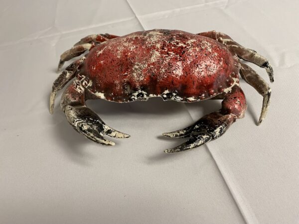 Crab Pot Lobster Trap Cage Magic Special Events
