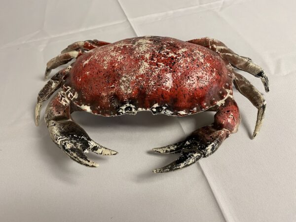 Crab Pot Lobster Trap Cage Magic Special Events