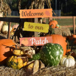 Fall Festival Family Pumpkin Patch Magic Special Events