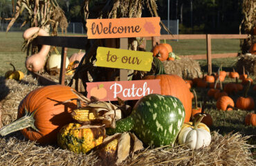 Fall-Festival Fall Festival Family Pumpkin Patch Magic Special Events
