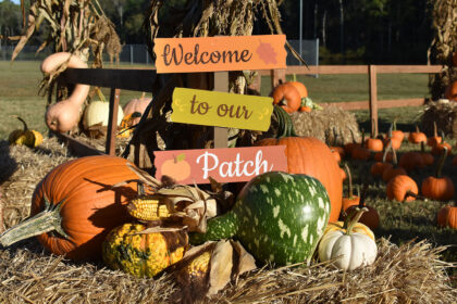 Fall Festival Family Pumpkin Patch Magic Special Events