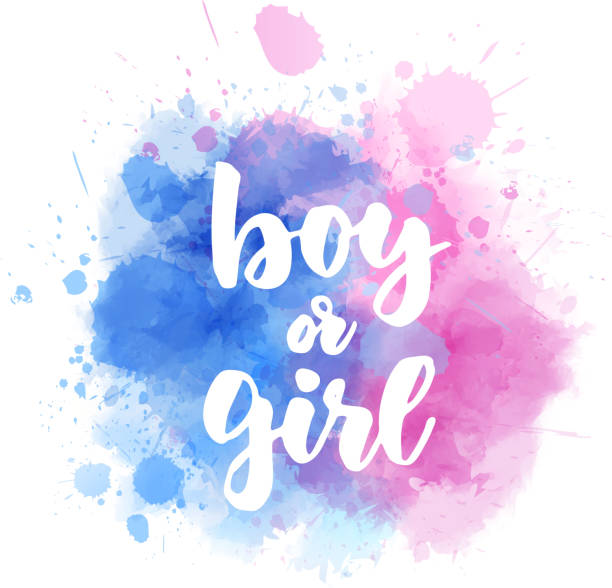 Boy or Girl Gender Reveal